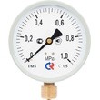 ТМ-510Р.00  (0... 0,6)  МПа Манометр, кл.1,5 корпус 100мм IP40 резьба G1/2 радиальный штуцер